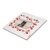 Carreau Bordure Collie Noël (Côté)