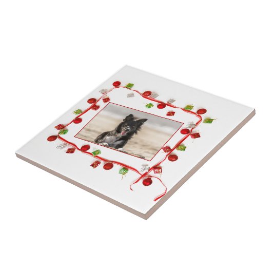 Carreau Bordure Collie Noël (Côté)