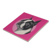 Carreau Boston terrier (Côté)