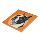 Carreau Boston terrier (Côté)