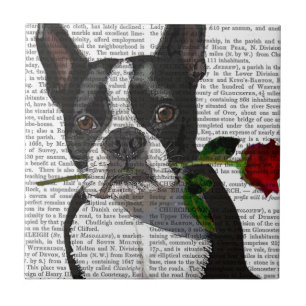 Carreau Boston Terrier avec Rose dans la bouche