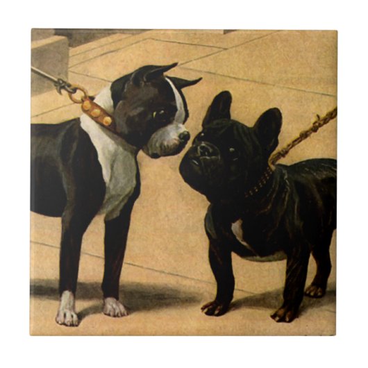 Carreau Boston Terrier et bouledogue français (Devant)