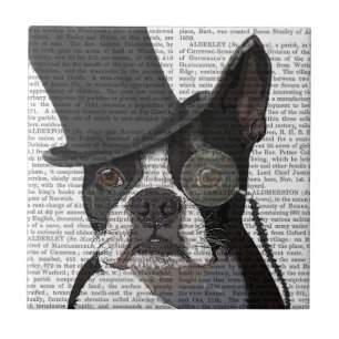 Carreau Boston Terrier, Formal Hound et Casquette