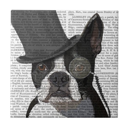 Carreau Boston Terrier, Formal Hound et Casquette (Devant)