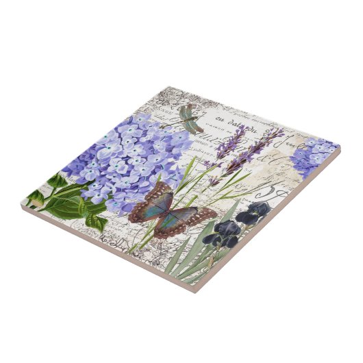 Carreau Botanique (Côté)