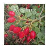 Carreau Botanique de Rosehips rouges (Devant)