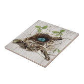 Carreau botanique français de manuscrit d'éphémères de nid (Côté)