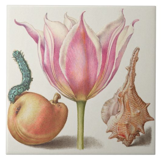 Carreau Botanique vintage (Devant)