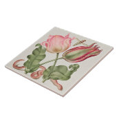 Carreau Botanique vintage (Côté)