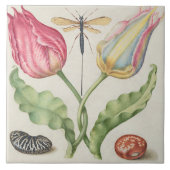 Carreau Botanique vintage (Devant)