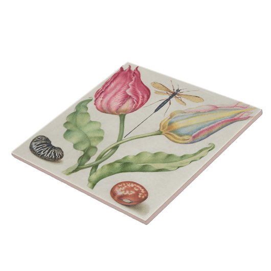 Carreau Botanique vintage (Côté)