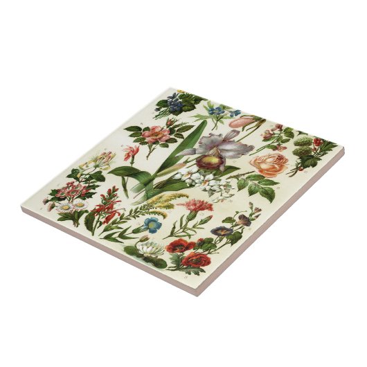 Carreau Botaniques de fleurs (Côté)