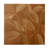 Carreau Botnie VI moderne (Devant)