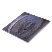 Carreau Bouche de la vérité (Côté)