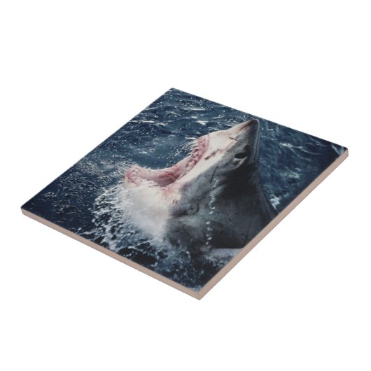 Carreau Bouche de requin élevée ouverte (Côté)