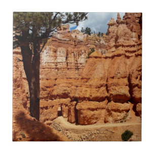 Carreau Boucle Peekaboo Bryce Canyon Parc national Utah