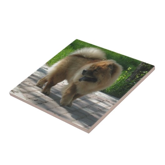 Carreau bouffe de bouffe pleine (Côté)