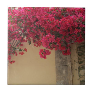 Carreau Bougainvillées sur un bâtiment rustique en Grèce