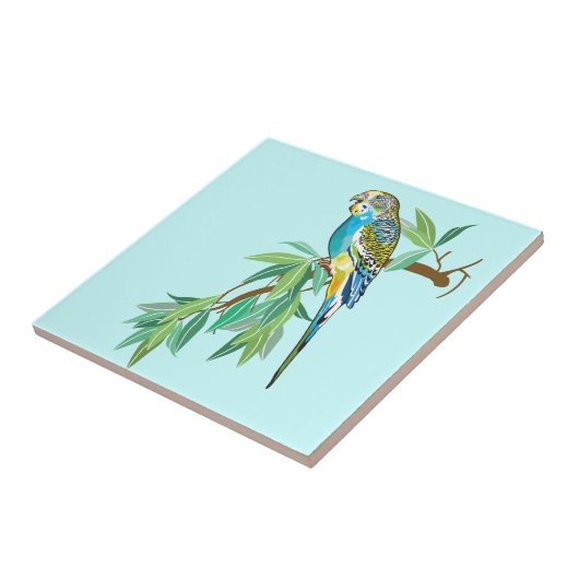 Carreau bouger (Côté)