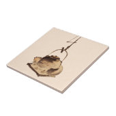 Carreau Bouilloire de Tanuki (Côté)