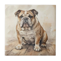 Bouledogue