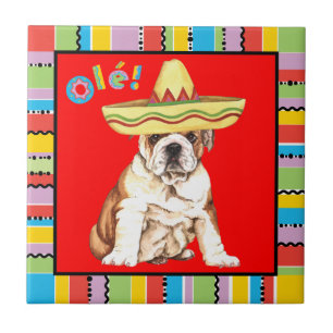 Carreau Bouledogue de fiesta