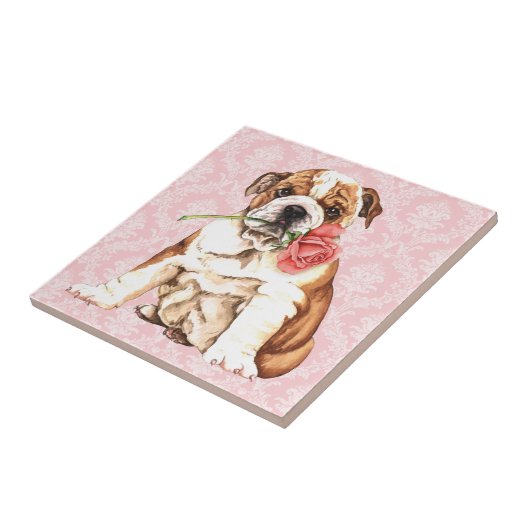 Carreau Bouledogue rose de Valentine (Côté)