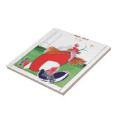 Carreau boules du Pays de Galles v Ecosse - des fernandes (Côté)