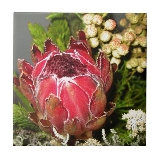 Carreau Bouquet de Protea (Devant)