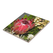 Carreau Bouquet de Protea (Côté)