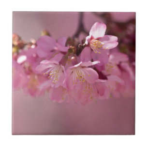 Carreau Bouquet délicat de fleurs de cerisier Sakura rose