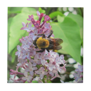 Carreau Bourdon sur lilas