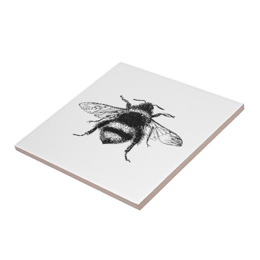 Carreau Bourdon vintage (Côté)