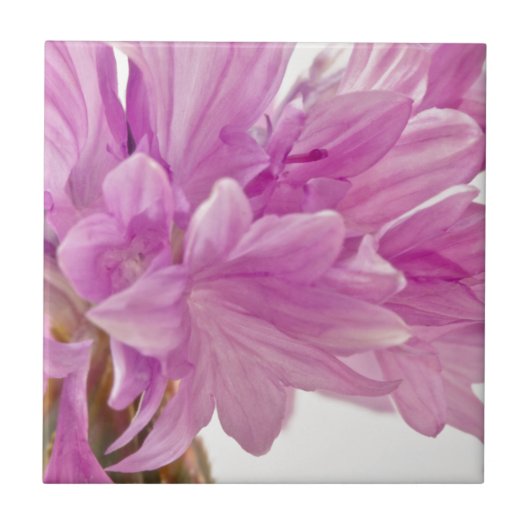 Carreau Bouton de mise à jour (Devant)