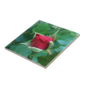 Carreau bouton de rose rouge (Côté)
