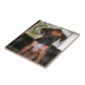 Carreau Boxer bébé (Côté)