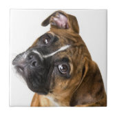 Carreau Boxer dog decorative tile (Devant)