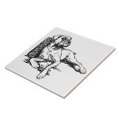 Carreau boxeur (Côté)