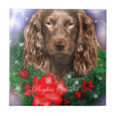 Carreau Boykin Spaniel Noël (Devant)