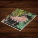 Carreau Bracket Fungus Nature Photo<br><div class="desc">Pour les amateurs de nature et de champignons ! Carrelage en céramique avec photo d'un Fungus en support,  également connu sous le nom de Fungus Shelf,  poussant sur un rondelle couvert de mousse. Sélectionnez votre taille de tuile. Fait une grande cuisine trivet!</div>