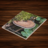 Carreau Bracket Fungus Nature Photo