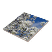 Carreau Bradford Pear Blooms (Côté)