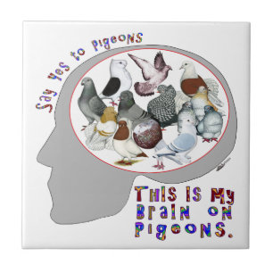 Carreau Brain