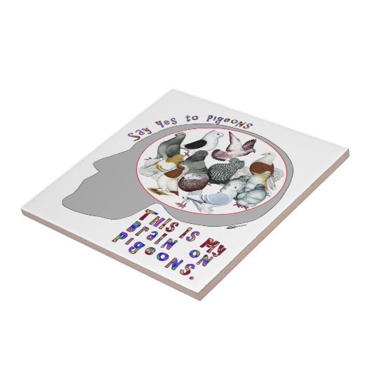 Carreau Brain (Côté)