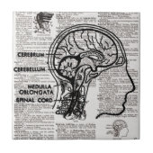 Carreau Brain Dictionary Art (Devant)