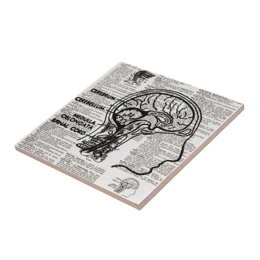 Carreau Brain Dictionary Art (Côté)