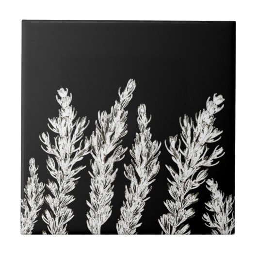 Carreau Branche Feuille Herbe Rosemary Noir Blanc (Devant)