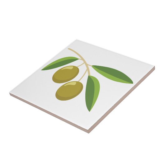 Carreau Branche Olive (Côté)