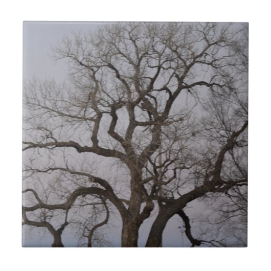 Carreau branches (Devant)