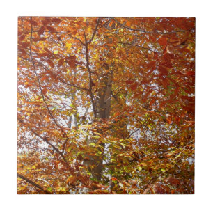Carreau Branches de feuilles orange Automne Nature